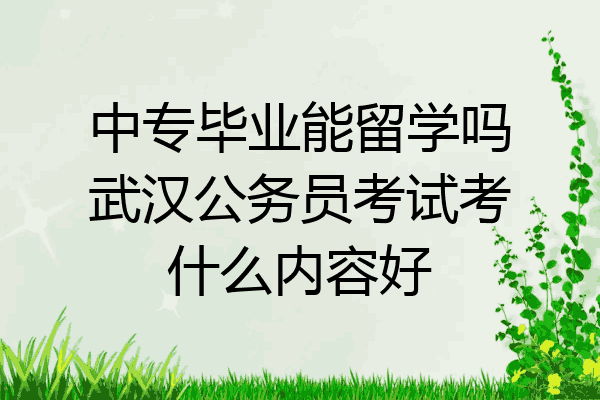 中专毕业能留学吗武汉公务员考试考什么内容好