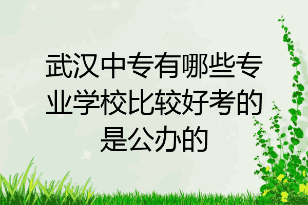武汉中专有哪些专业学校比较好考的是公办的