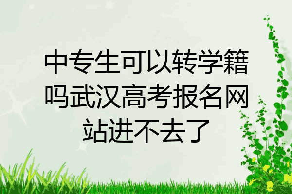 中专生可以转学籍吗武汉高考报名网站进不去了