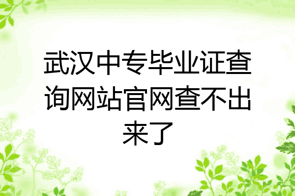 武汉中专毕业证查询网站官网查不出来了