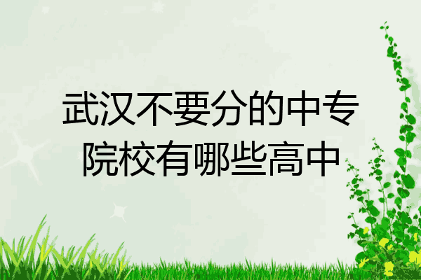武汉不要分的中专院校有哪些高中