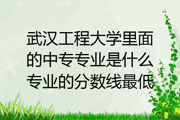 武汉工程大学里面的中专专业是什么专业的分数线最低
