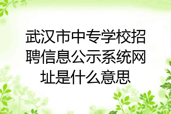 武汉市中专学校招聘信息公示系统网址是什么意思