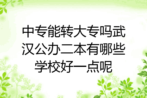 中专能转大专吗武汉公办二本有哪些学校好一点呢