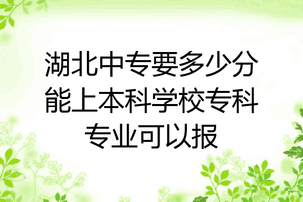 湖北中专要多少分能上本科学校专科专业可以报