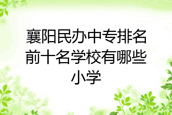 襄阳民办中专排名前十名学校有哪些小学