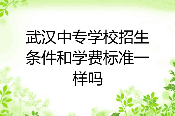武汉中专学校招生条件和学费标准一样吗