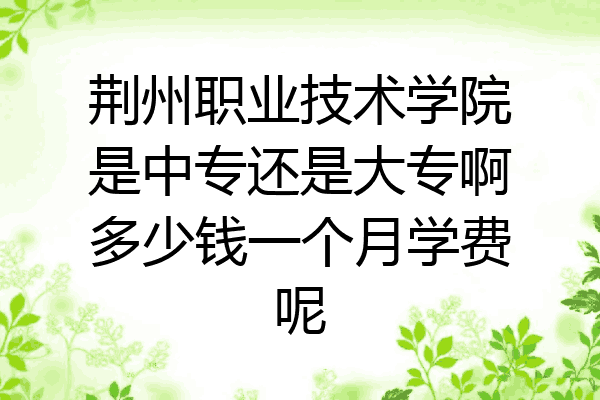 荆州职业技术学院是中专还是大专啊多少钱一个月学费呢