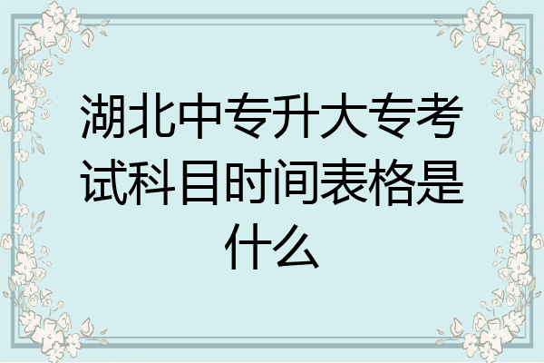 湖北中专升大专考试科目时间表格是什么