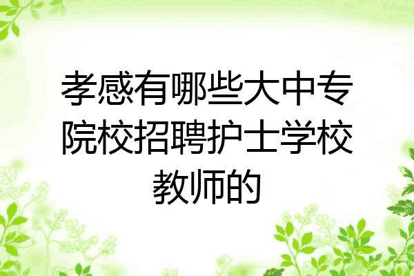 孝感有哪些大中专院校招聘护士学校教师的