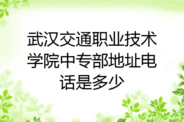 武汉交通职业技术学院中专部地址电话是多少