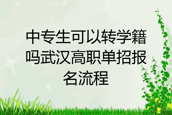 中专生可以转学籍吗武汉高职单招报名流程