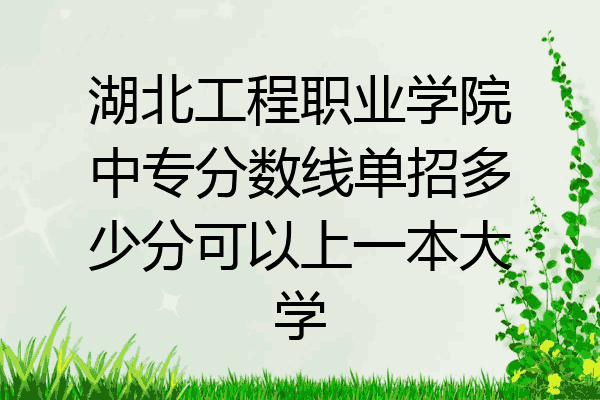 湖北工程职业学院中专分数线单招多少分可以上一本大学