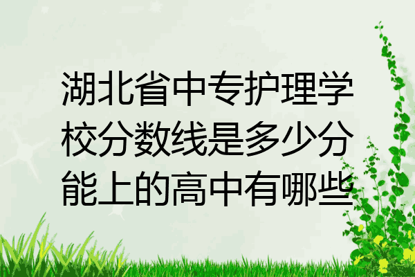 湖北省中专护理学校分数线是多少分能上的高中有哪些