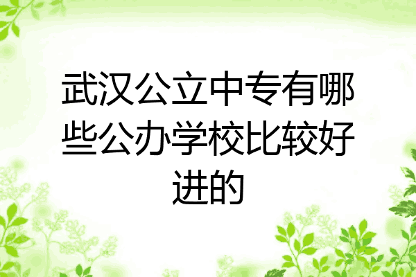武汉公立中专有哪些公办学校比较好进的