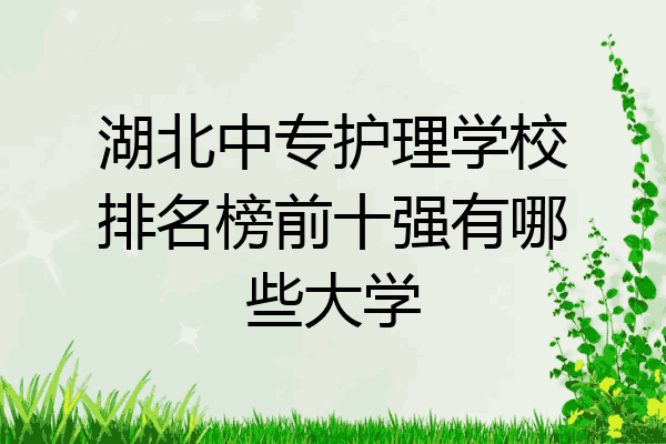 湖北中专护理学校排名榜前十强有哪些大学