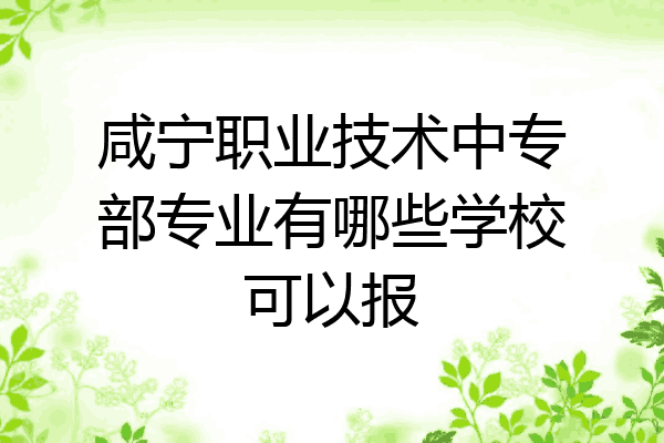 咸宁职业技术中专部专业有哪些学校可以报