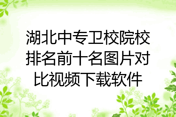 湖北中专卫校院校排名前十名图片对比视频下载软件