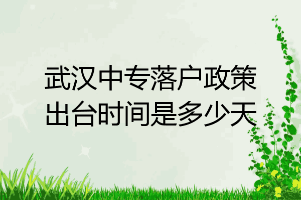 武汉中专落户政策出台时间是多少天