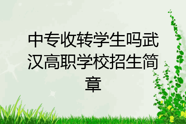 中专收转学生吗武汉高职学校招生简章