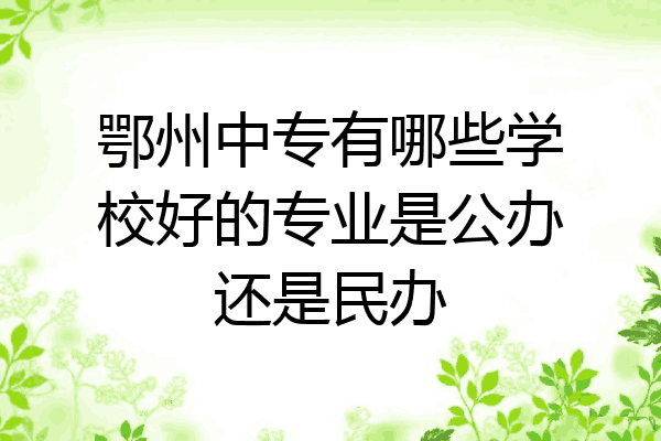鄂州中专有哪些学校好的专业是公办还是民办