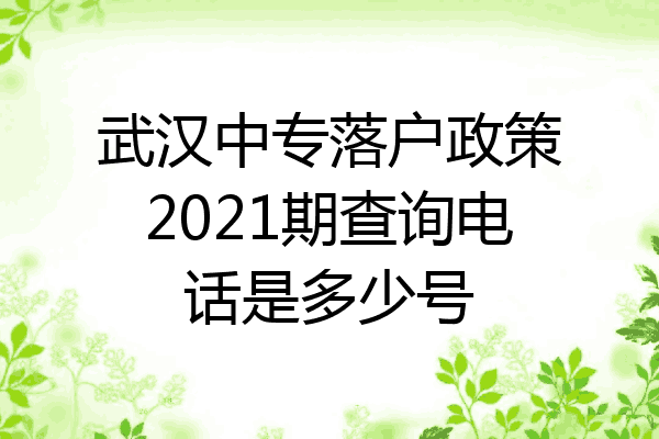 武汉中专落户政策2021期查询电话是多少号