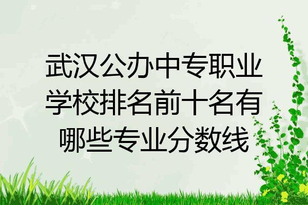 武汉公办中专职业学校排名前十名有哪些专业分数线