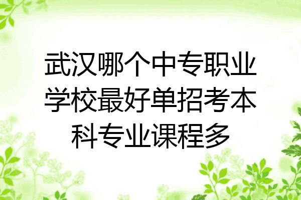 武汉哪个中专职业学校最好单招考本科专业课程多