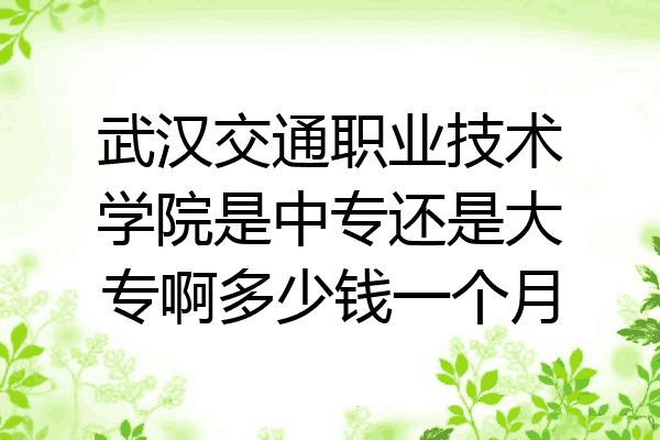 武汉交通职业技术学院是中专还是大专啊多少钱一个月