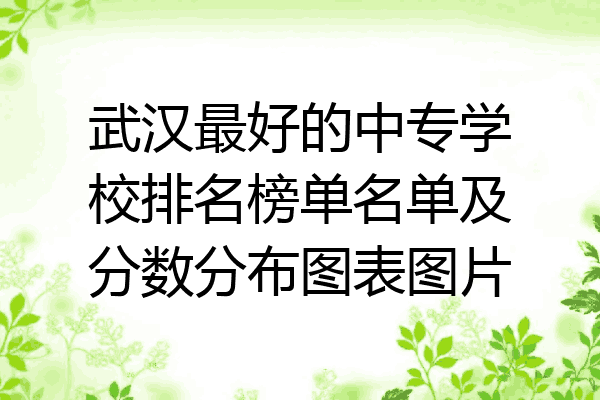 武汉最好的中专学校排名榜单名单及分数分布图表图片