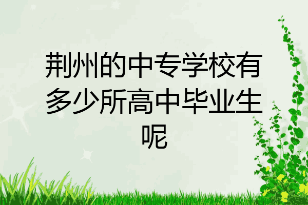 荆州的中专学校有多少所高中毕业生呢