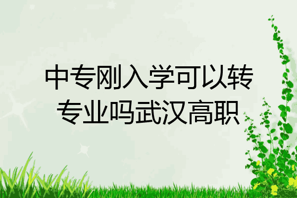 中专刚入学可以转专业吗武汉高职