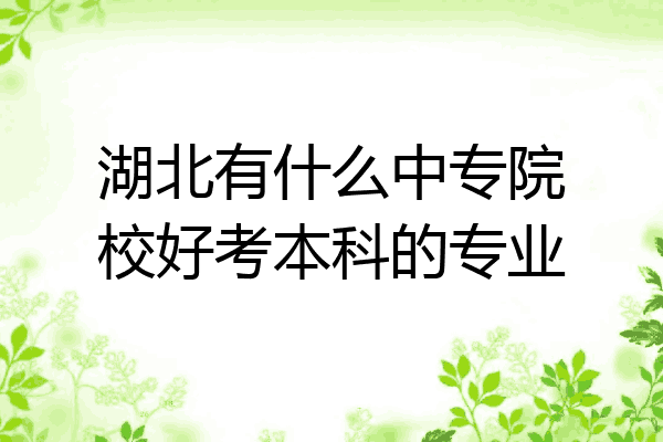 湖北有什么中专院校好考本科的专业