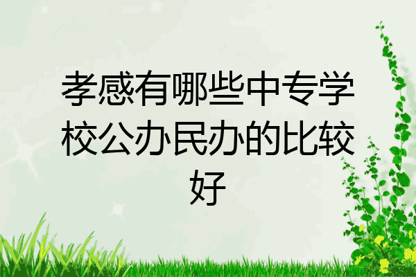 孝感有哪些中专学校公办民办的比较好