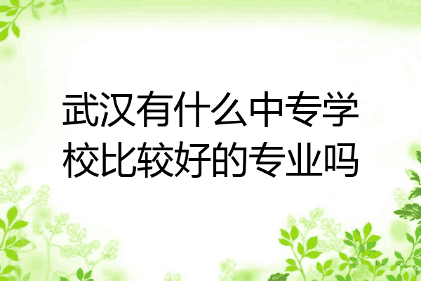 武汉有什么中专学校比较好的专业吗