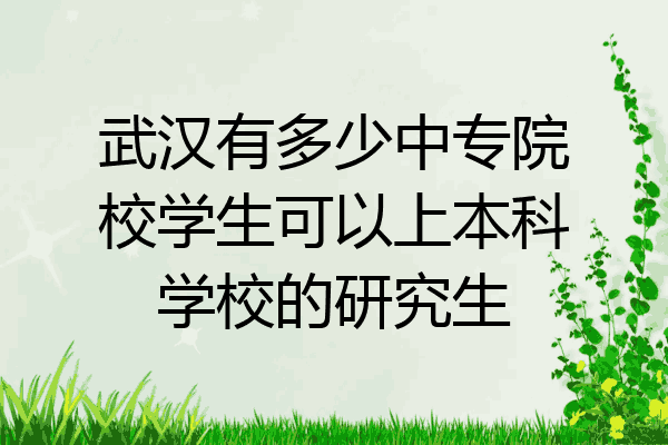 武汉有多少中专院校学生可以上本科学校的研究生