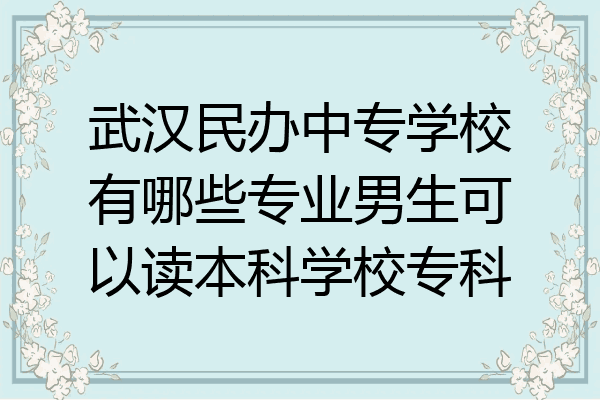 武汉民办中专学校有哪些专业男生可以读本科学校专科
