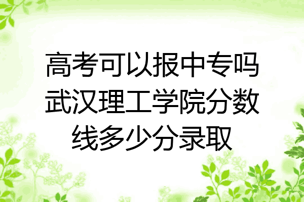 高考可以报中专吗武汉理工学院分数线多少分录取
