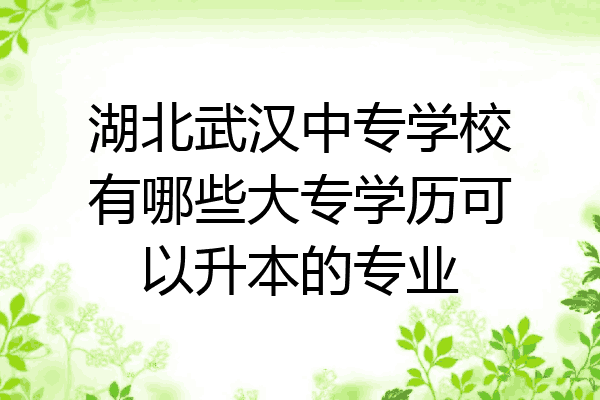 湖北武汉中专学校有哪些大专学历可以升本的专业