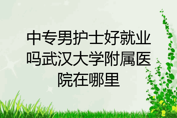 中专男护士好就业吗武汉大学附属医院在哪里