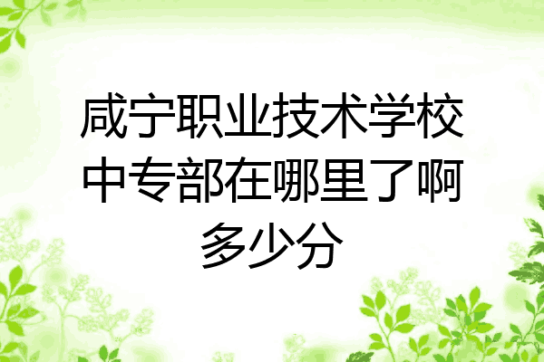 咸宁职业技术学校中专部在哪里了啊多少分
