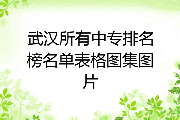 武汉所有中专排名榜名单表格图集图片