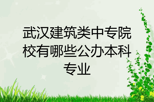 武汉建筑类中专院校有哪些公办本科专业