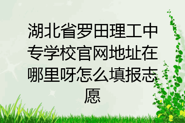 湖北省罗田理工中专学校官网地址在哪里呀怎么填报志愿