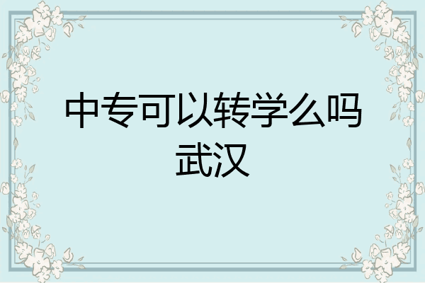中专可以转学么吗武汉