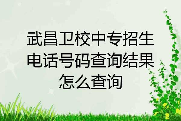 武昌卫校中专招生电话号码查询结果怎么查询