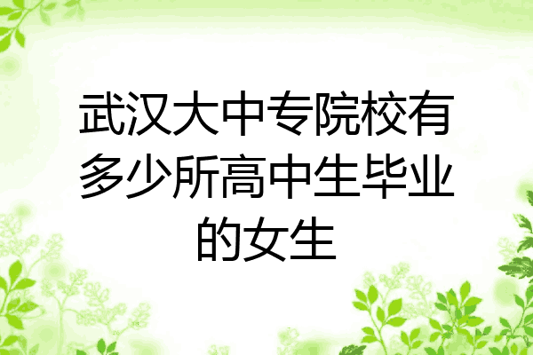 武汉大中专院校有多少所高中生毕业的女生