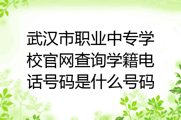 武汉市职业中专学校官网查询学籍电话号码是什么号码