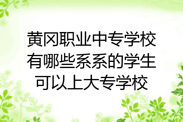 黄冈职业中专学校有哪些系系的学生可以上大专学校