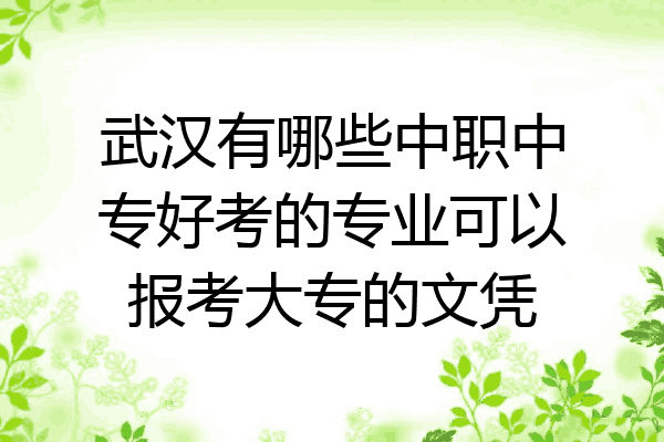 武汉有哪些中职中专好考的专业可以报考大专的文凭